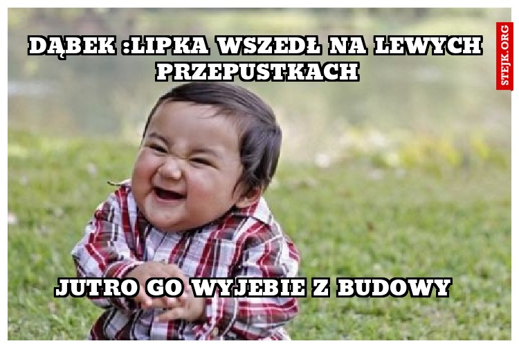 Dąbek :lipka wszedł na lewych przepustkach