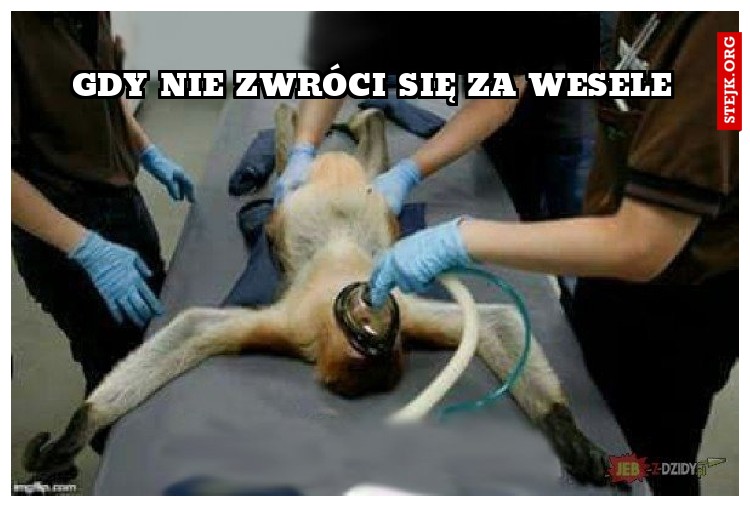 gdy nie zwróci się za wesele