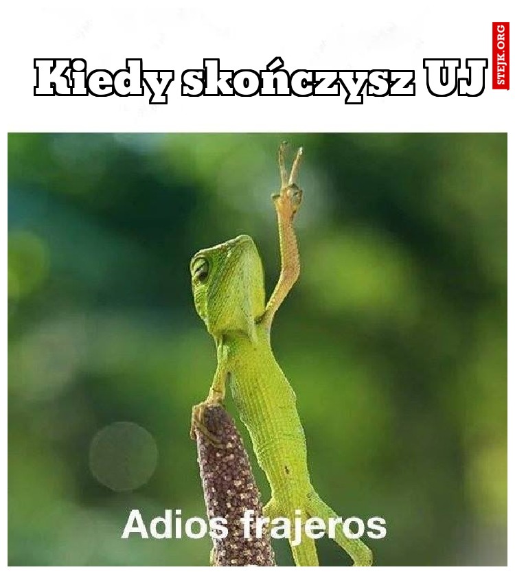 Kiedy skończysz UJ