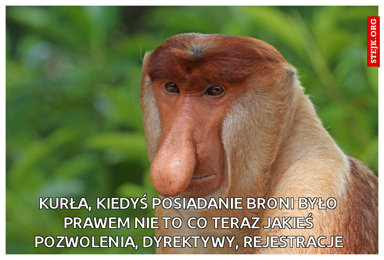 kK000000