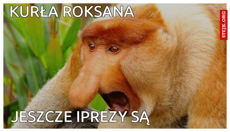 Kurła Roksana 