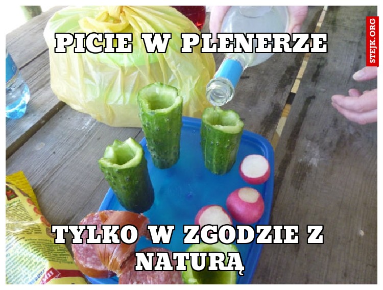 Picie w plenerze