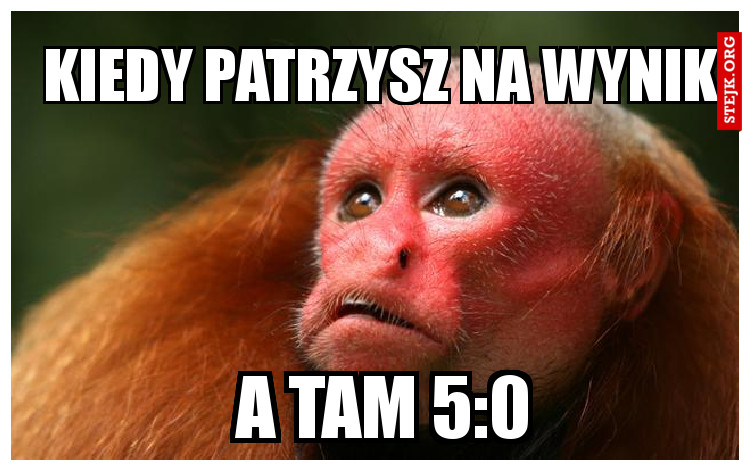Kiedy patrzysz na wynik