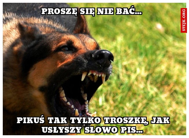 Proszę się nie bać... 