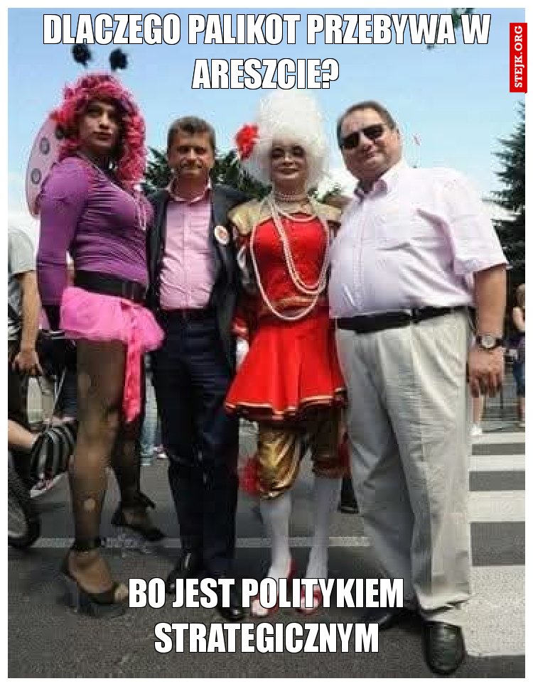 Dlaczego Palikot przebywa w areszcie?