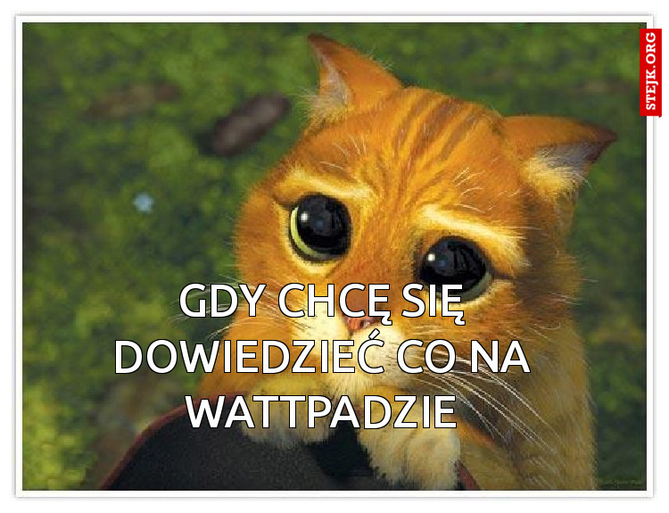 Gdy chcę się dowiedzieć co na wattpadzie
