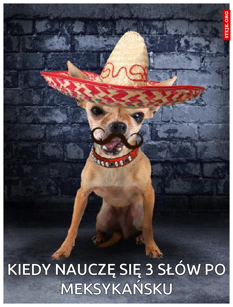 Kiedy nauczę się 3 słów po meksykańsku