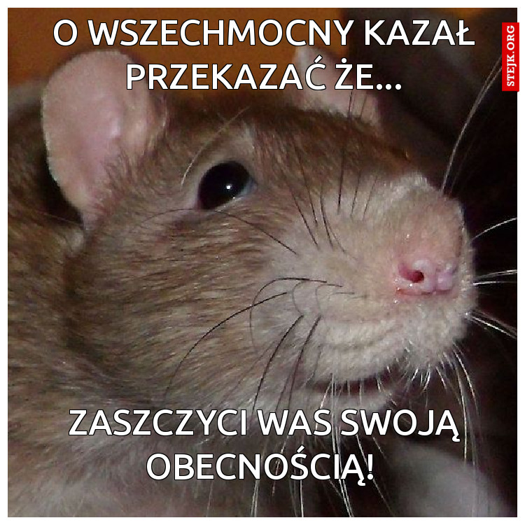 o wszechmocny kazał przekazać że...