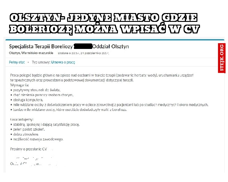 olsztyn- jedyne miasto gdzie boleriozę można wpisać w cv