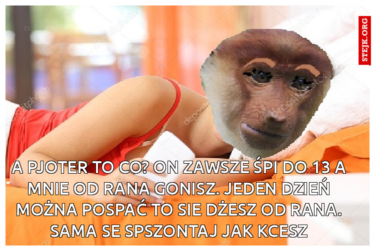 a pjoter to co? on zawsze śpi do 13 a mnie od rana gonisz. jeden dzień można pospać to sie dżesz od rana. sama se spszontaj jak kcesz
