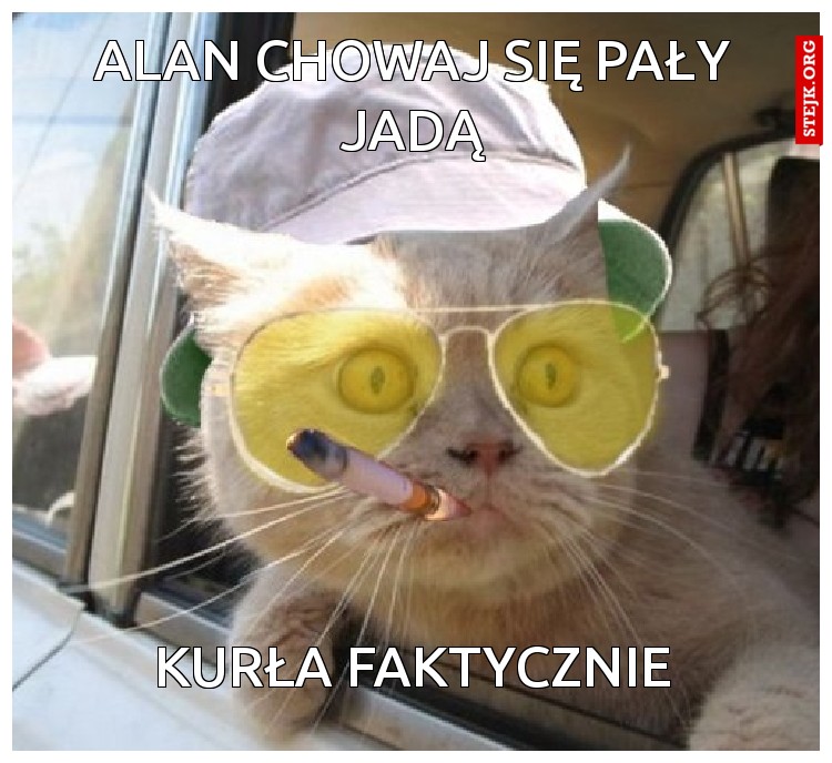 alan chowaj się pały jadą