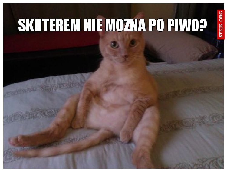 skuterem nie mozna po piwo?
