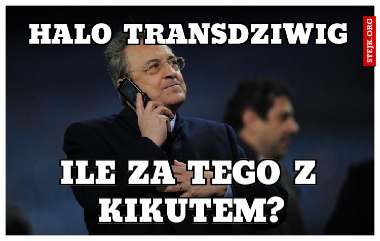 Halo Transdziwig