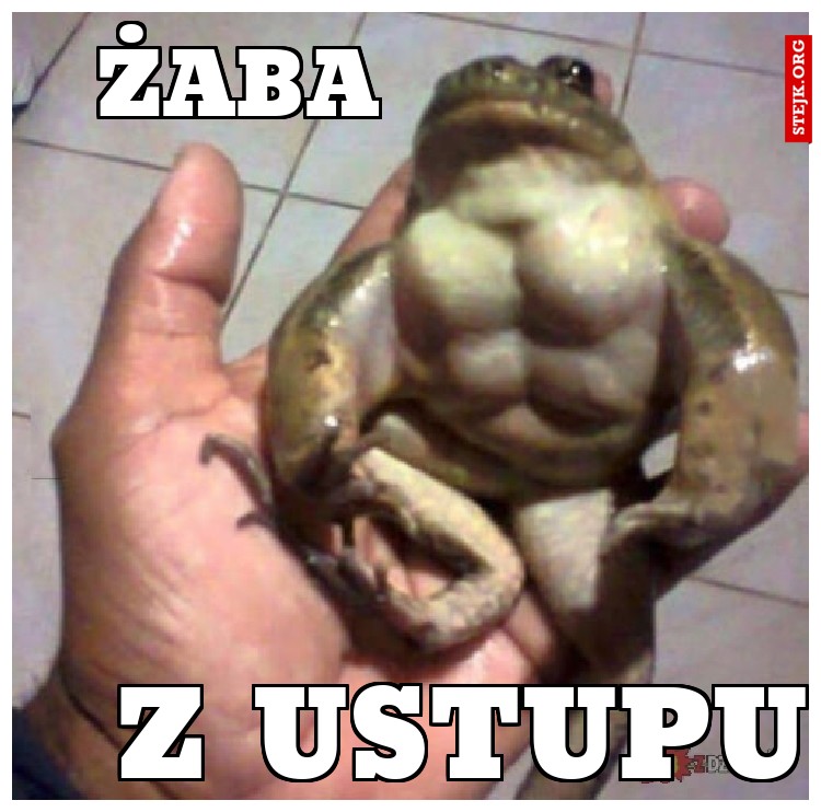 żaba