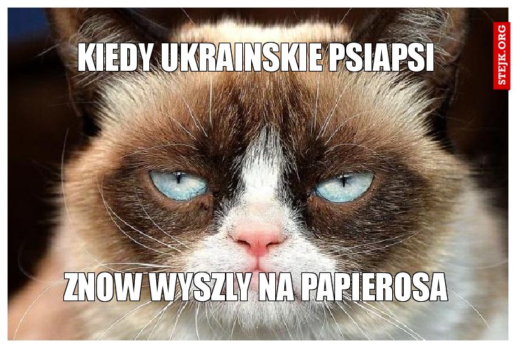 kIEDY UKRAINSKIE PSIAPSI