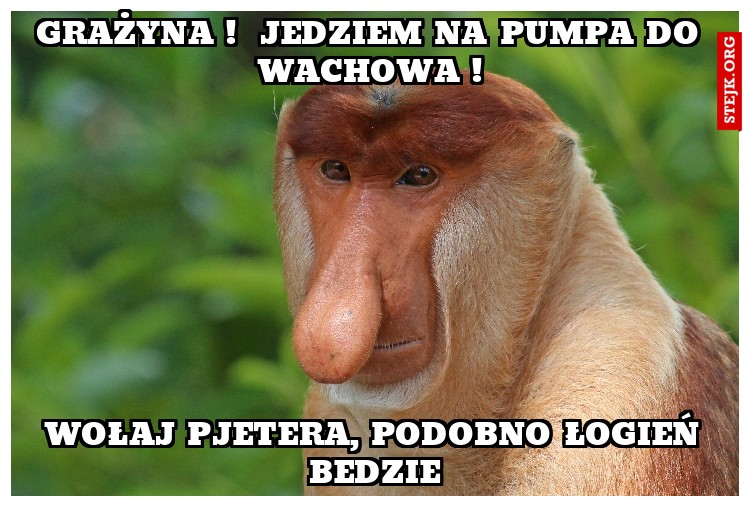 Grażyna !  Jedziem na pumpa do wachowa !