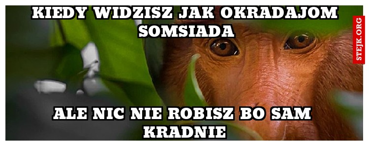 Kiedy widzisz jak okradajom somsiada