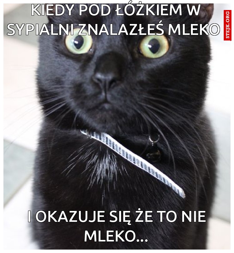 Kiedy musisz za potrzebą 