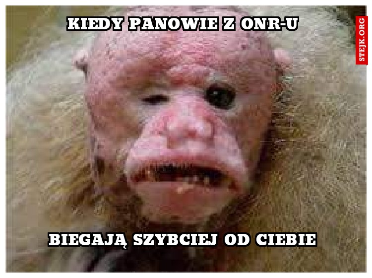 kiedy panowie z onr-u