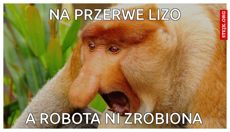NA PRZERWE LIZO