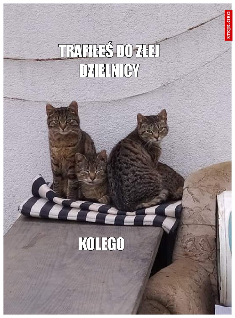 Trafiłeś do złej dzielnicy