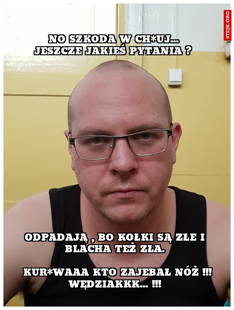       no szkoda w ch*uj...      jeszcze jakieś pytania ?