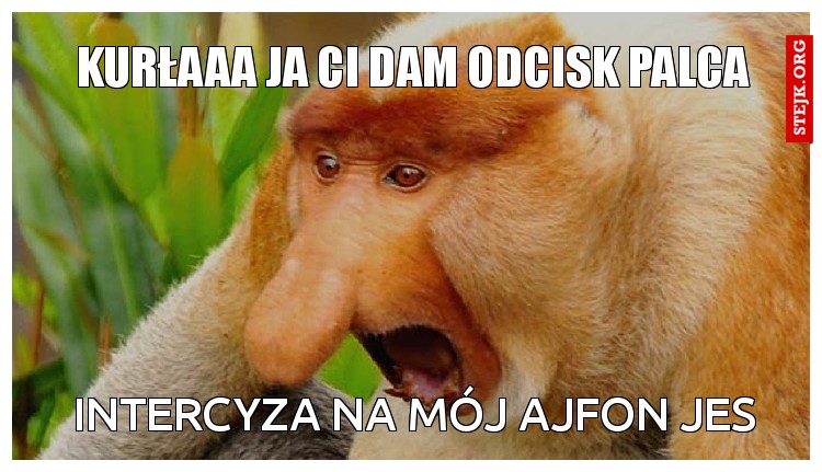 kurłaaa ja ci dam odcisk palca