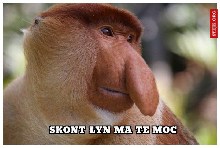 Skont łyn ma te moc