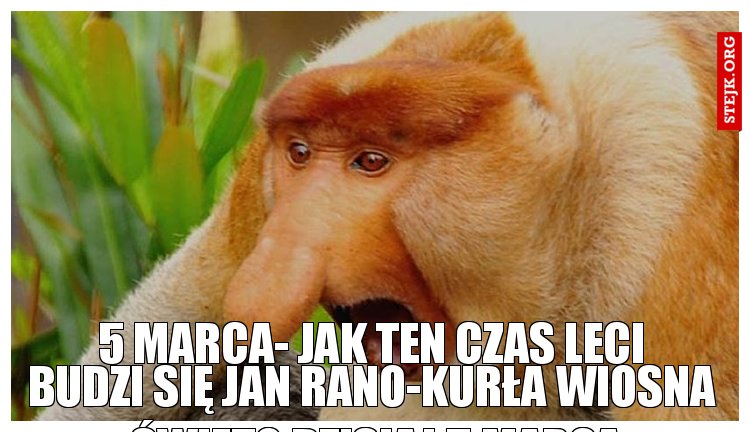 Budzi się Jan rano-Kurła wiosna ,święto dzisiaj 5 marca