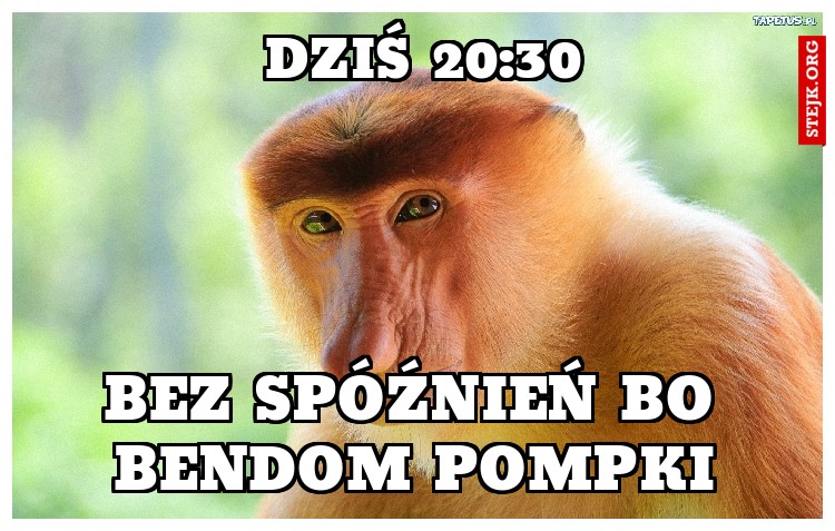 Dziś 20:30