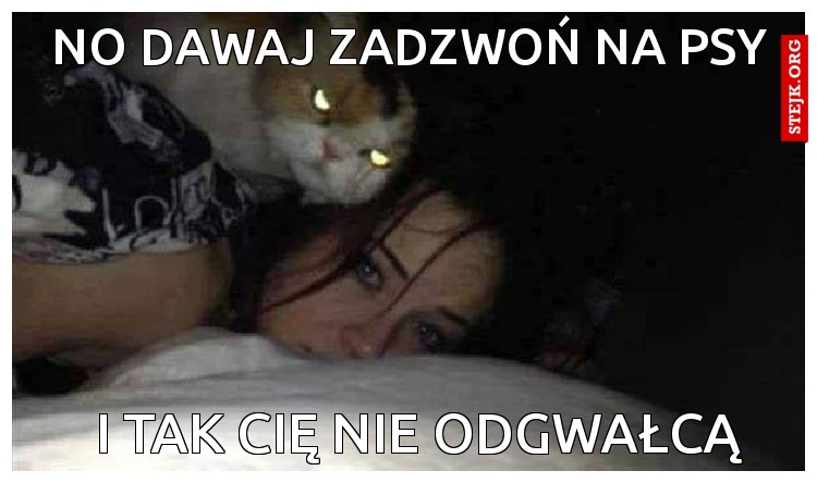 No dawaj zadzwoń na psy