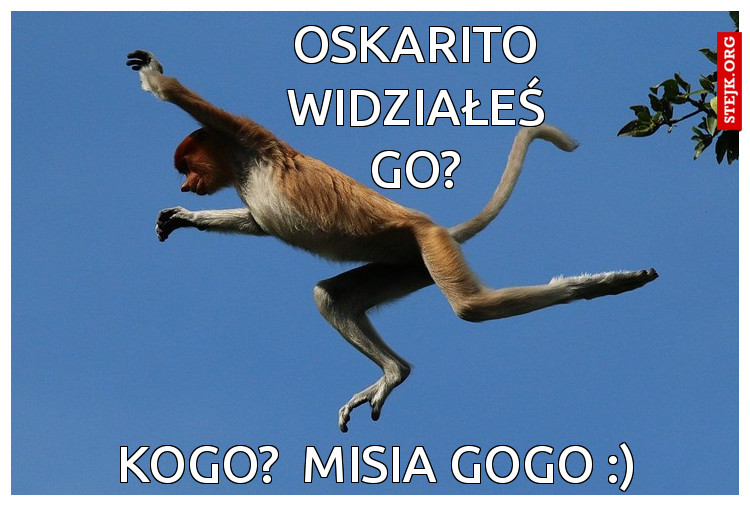 Oskarito widziałeś go?