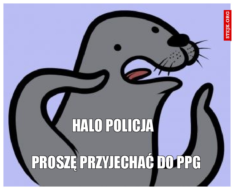 Halo policja