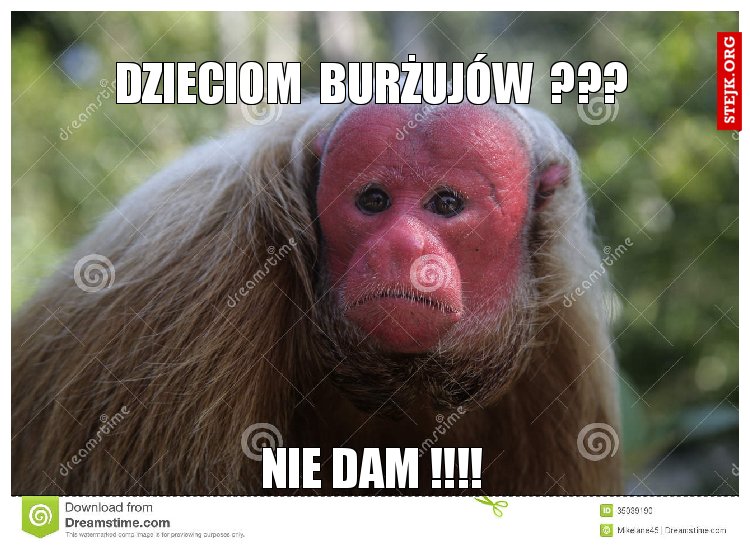 dzieciom  burżujów  ???