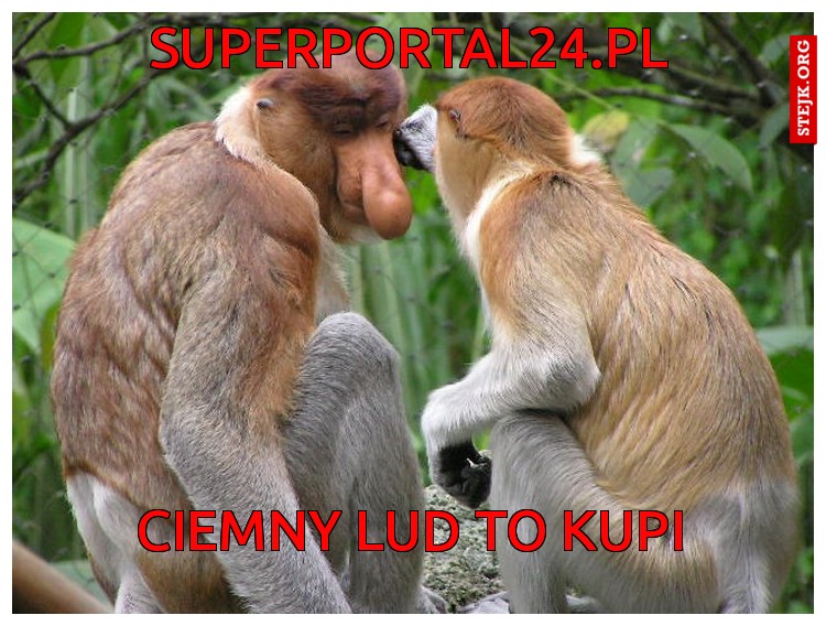 superportal24.pl