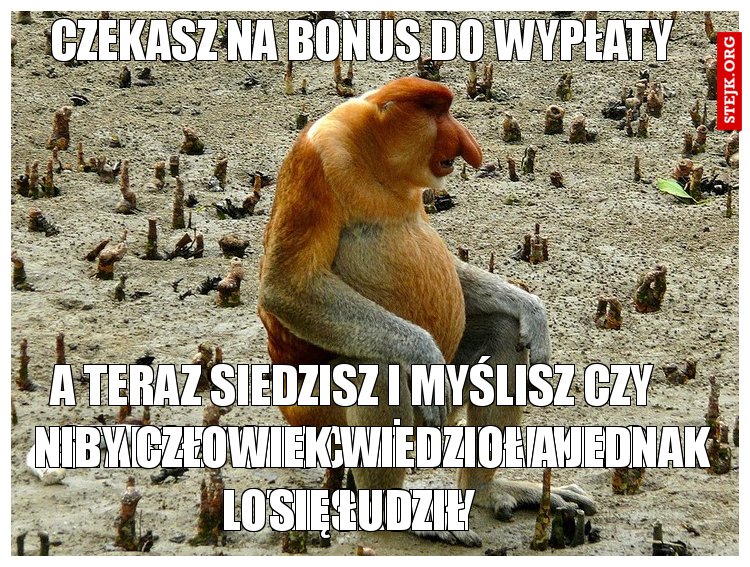 A teraz myślisz czy starczy w ogóle na parking