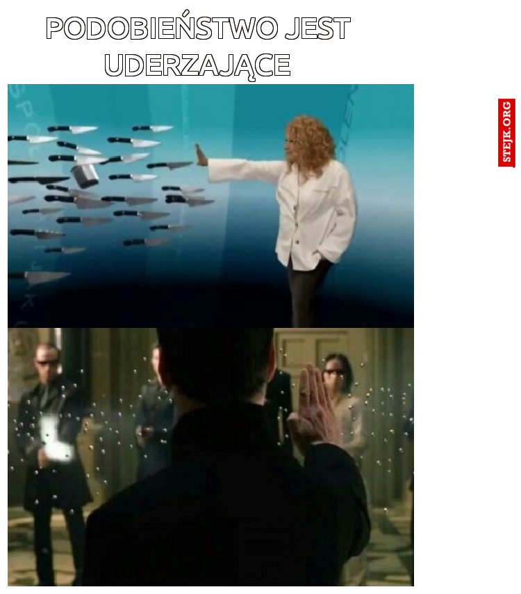 Podobieństwo jest uderzające