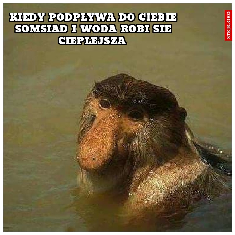 kiedy podpływa do ciebie somsiad i woda robi sie cieplejsza 