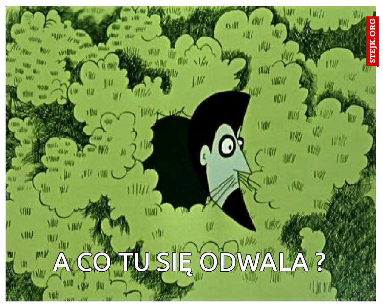 A co tu się odwala ?