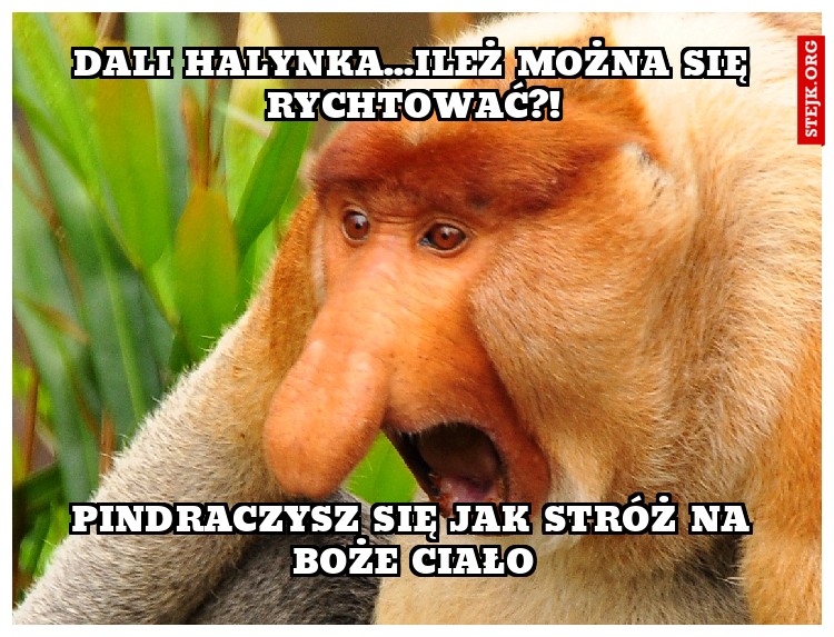 Dali halynka...Ileż można się rychtować?!