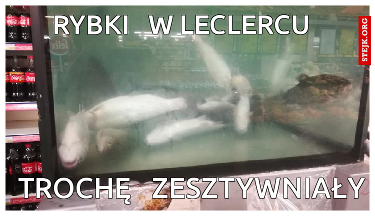 RYBKI   W LECLERCU