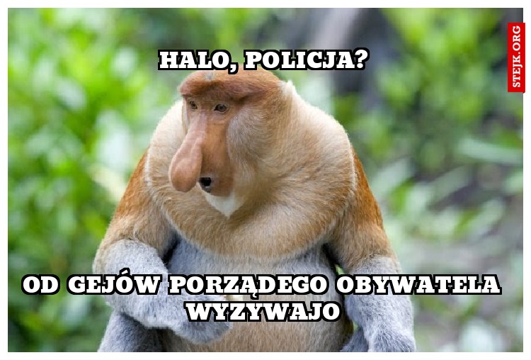 Halo, policja?