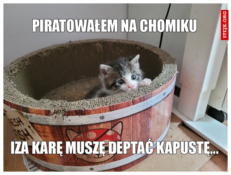 piratowałem na chomiku