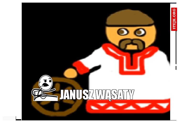janusz wąsaty 