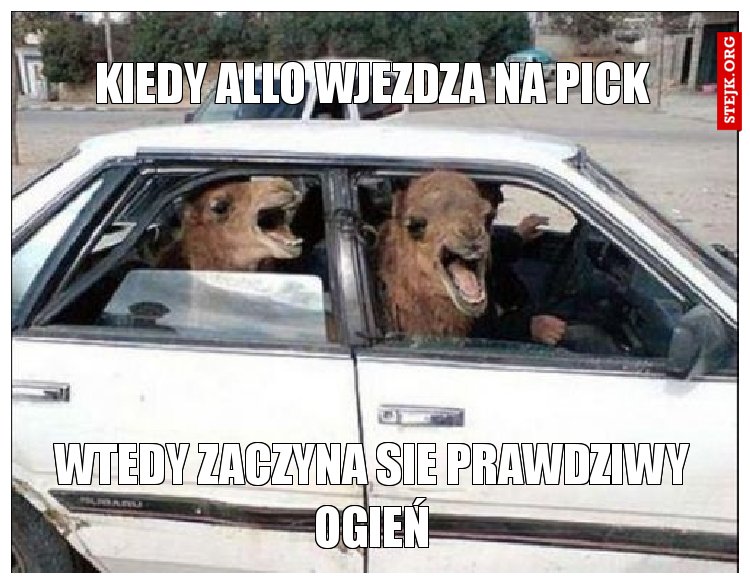 Kiedy Allo wjezdza na pick