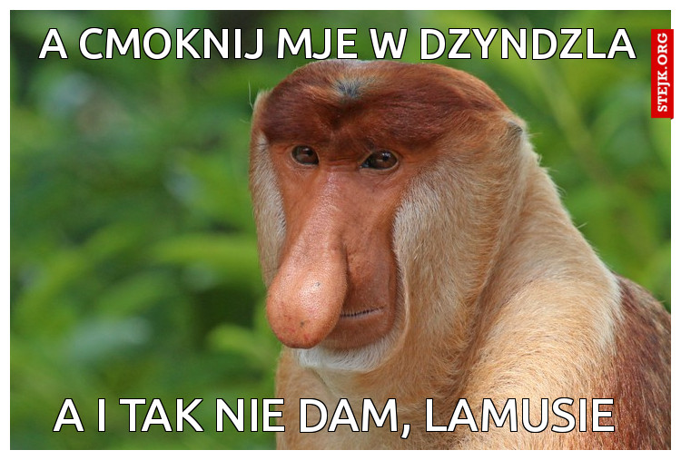 a cmoknij mje w dzyndzla