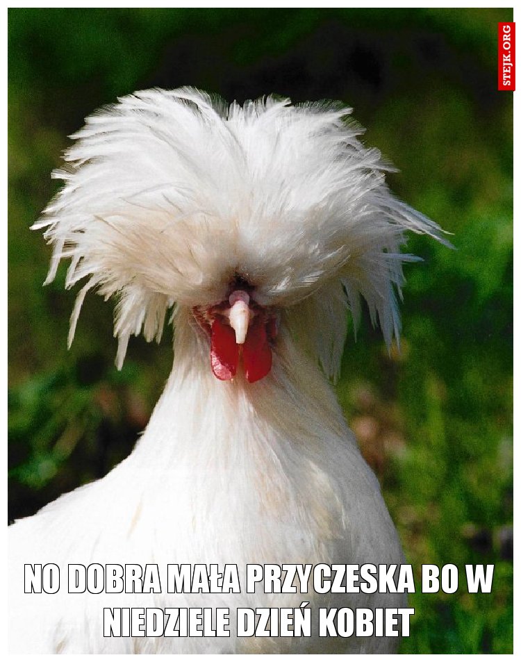 No dobra mała przyczeska bo w niedziele dzień kobiet