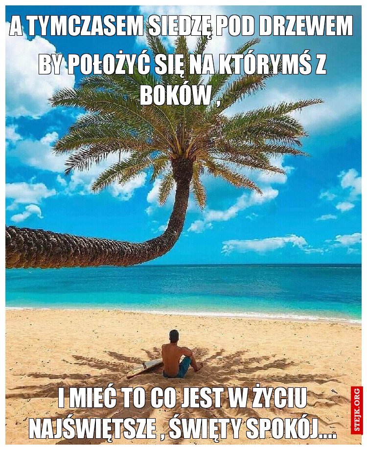 A tymczasem siedzę pod drzewem , 