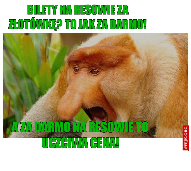 Za Złotówe