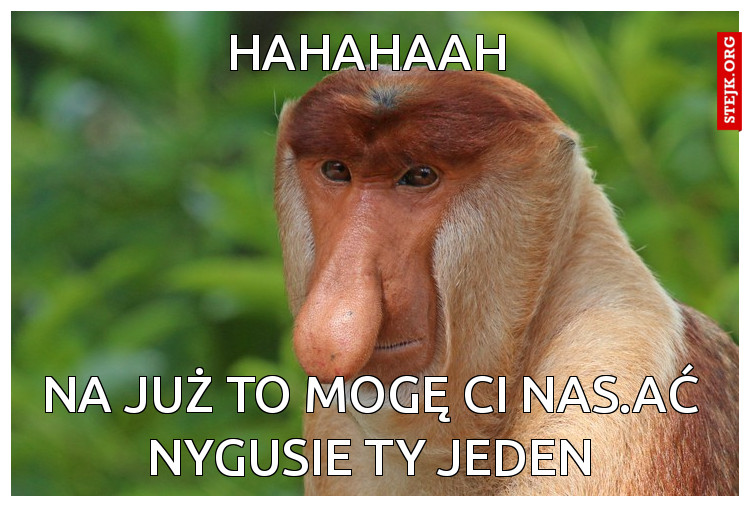 Na już to mogę ci nas.ać nygusie ty jeden